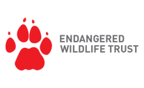 Case Study: Endangered Wildlife Trust